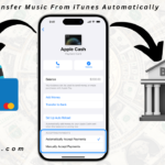 How to Transfer Apple Cash to Bank instantly